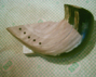 foto 10 gomito